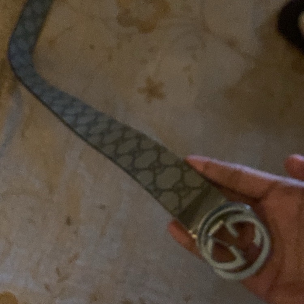 Designer Gray Belt with Silver Buckle